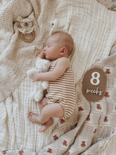 Load image into Gallery viewer, Unique bump & baby multi-use & interchangeable milestone plaque