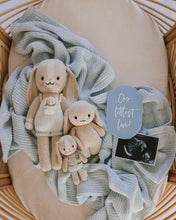 Load image into Gallery viewer, Our littlest love plaque