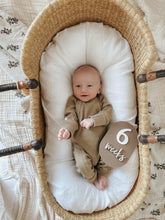 Load image into Gallery viewer, Unique bump & baby multi-use & interchangeable milestone plaque