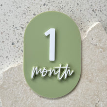 Load image into Gallery viewer, Unique bump & baby multi-use & interchangeable milestone plaque
