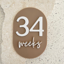 Load image into Gallery viewer, Unique bump & baby multi-use & interchangeable milestone plaque