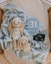 Load image into Gallery viewer, Unique bump &amp; baby multi-use &amp; interchangeable milestone plaque
