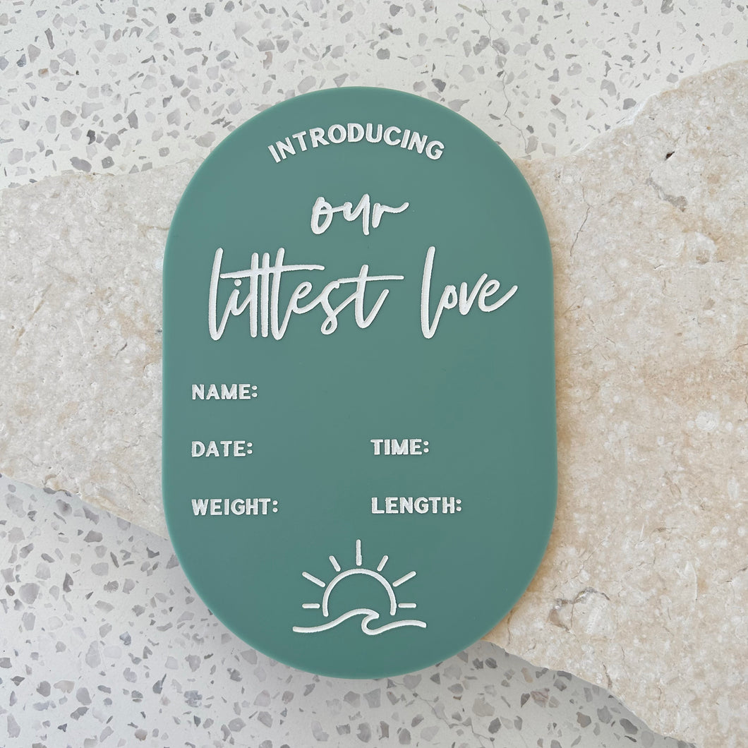Baby Arrival Announcement Wave/Sun Plaque - includes white liquid chalk marker
